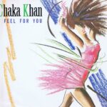 Chaka Khan - I Feel For You - W 9209 T – 12-Inch Record
