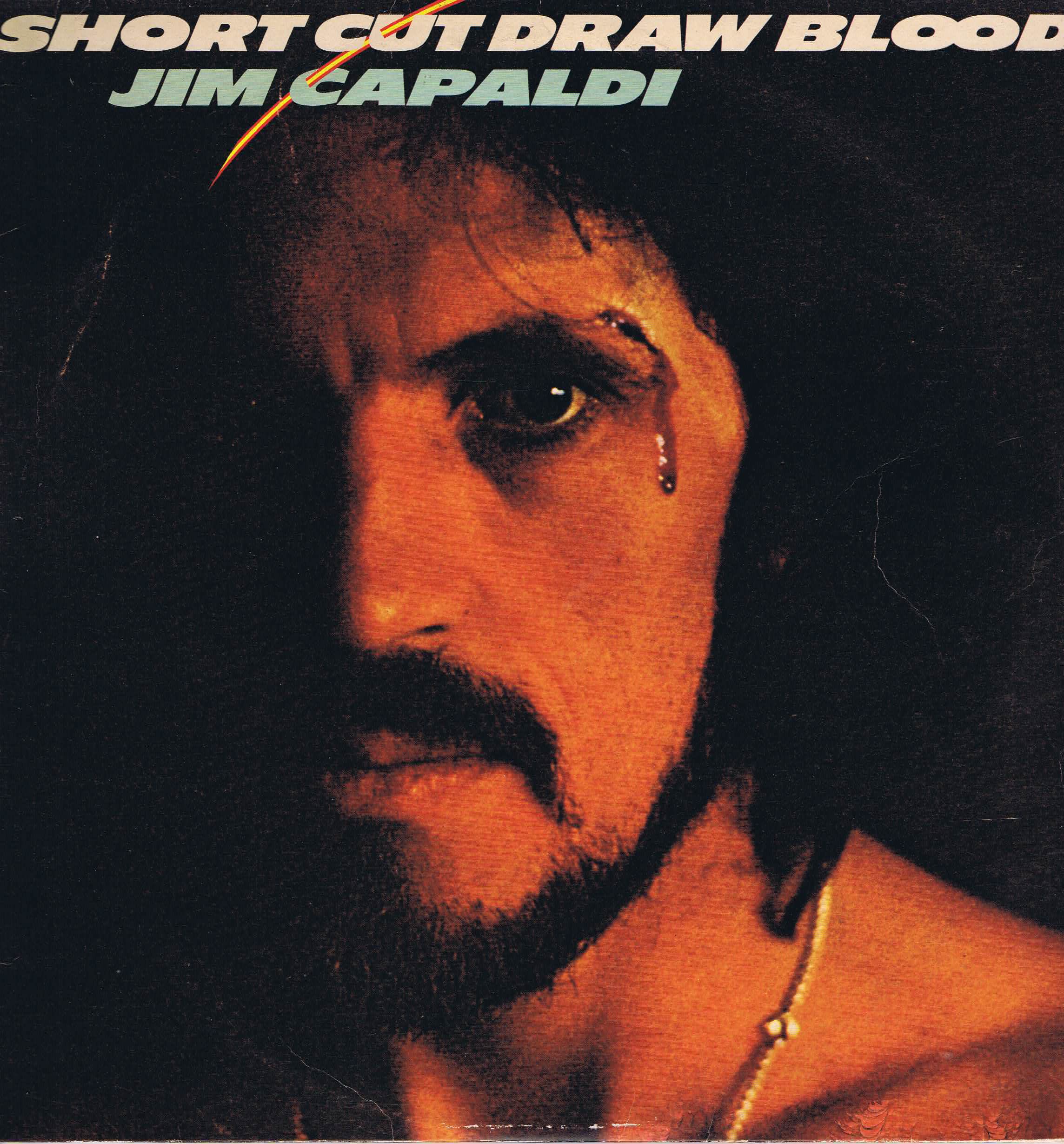 Jim Capaldi – Short Cut Draw Blood - ILPS 9336 - LP Vinyl Record
