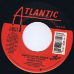 Terry Tate – Babies Having Babies - 7-88814 - 7-inch Vinyl Record