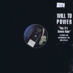 Will To Power - Say It's Gonna Rain - 49 07589 – US 12-Inch Vinyl Record