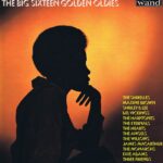The Big Sixteen Golden Oldies - Wand - Soul - WCS 1005 - LP Record