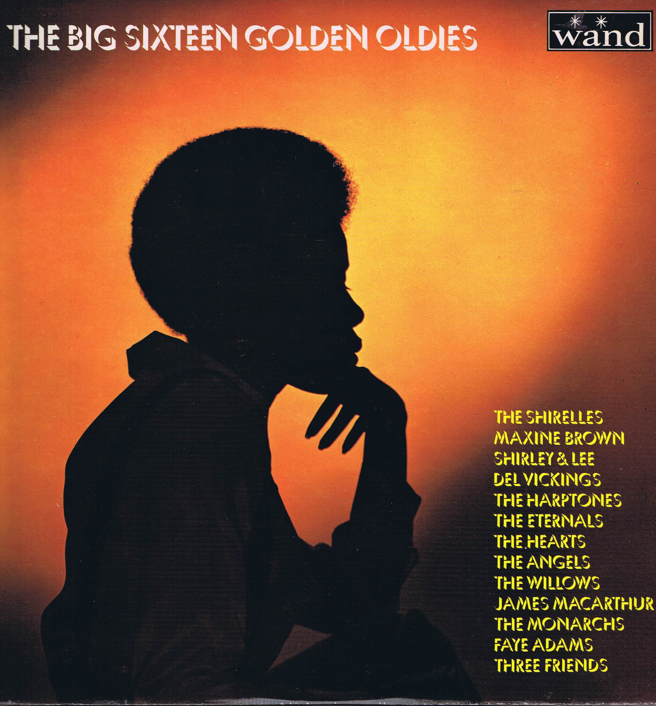 The Big Sixteen Golden Oldies - Wand - Soul - WCS 1005 - LP Record