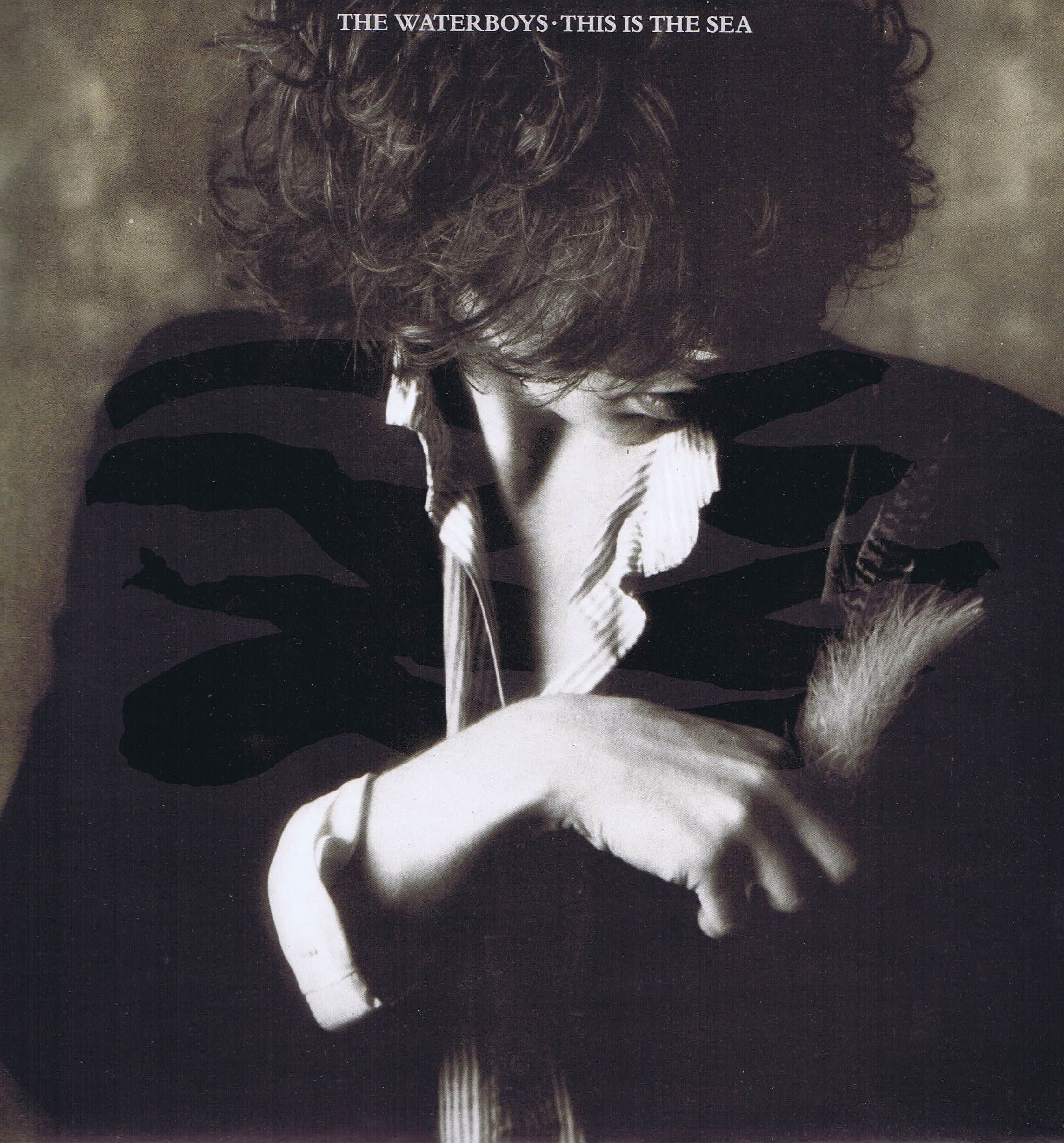 The Waterboys - This Is The Sea - CHEN 3 - LP Vinyl Record