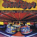 The Waterboys - Room To Roam - CHEN 16 - LP Vinyl Record