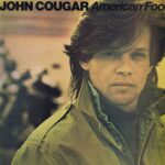 John Cougar Mellencamp - American Fool - PRICE 85 - LP Vinyl Record