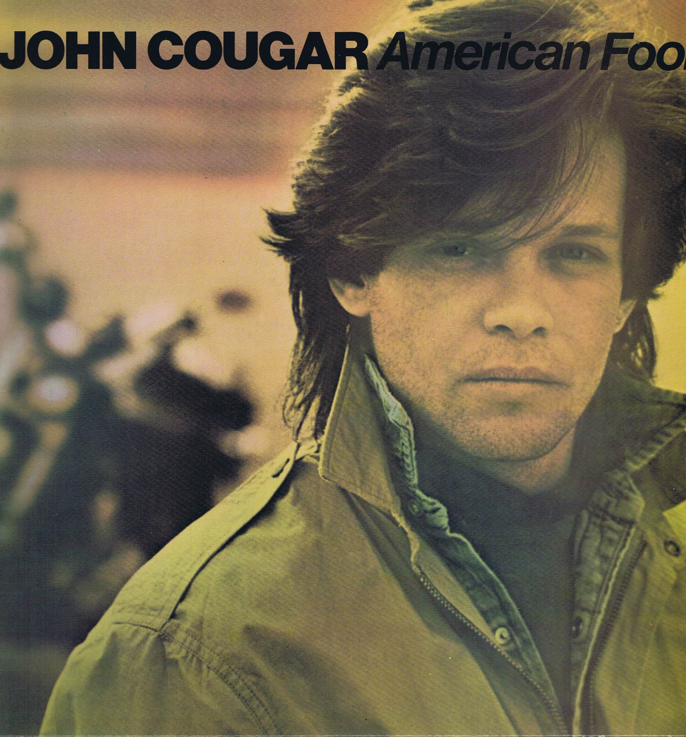 John Cougar Mellencamp - American Fool - PRICE 85 - LP Vinyl Record