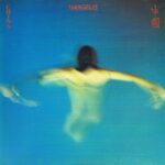 Vangelis – See You Later – 2302 101 - LP Record