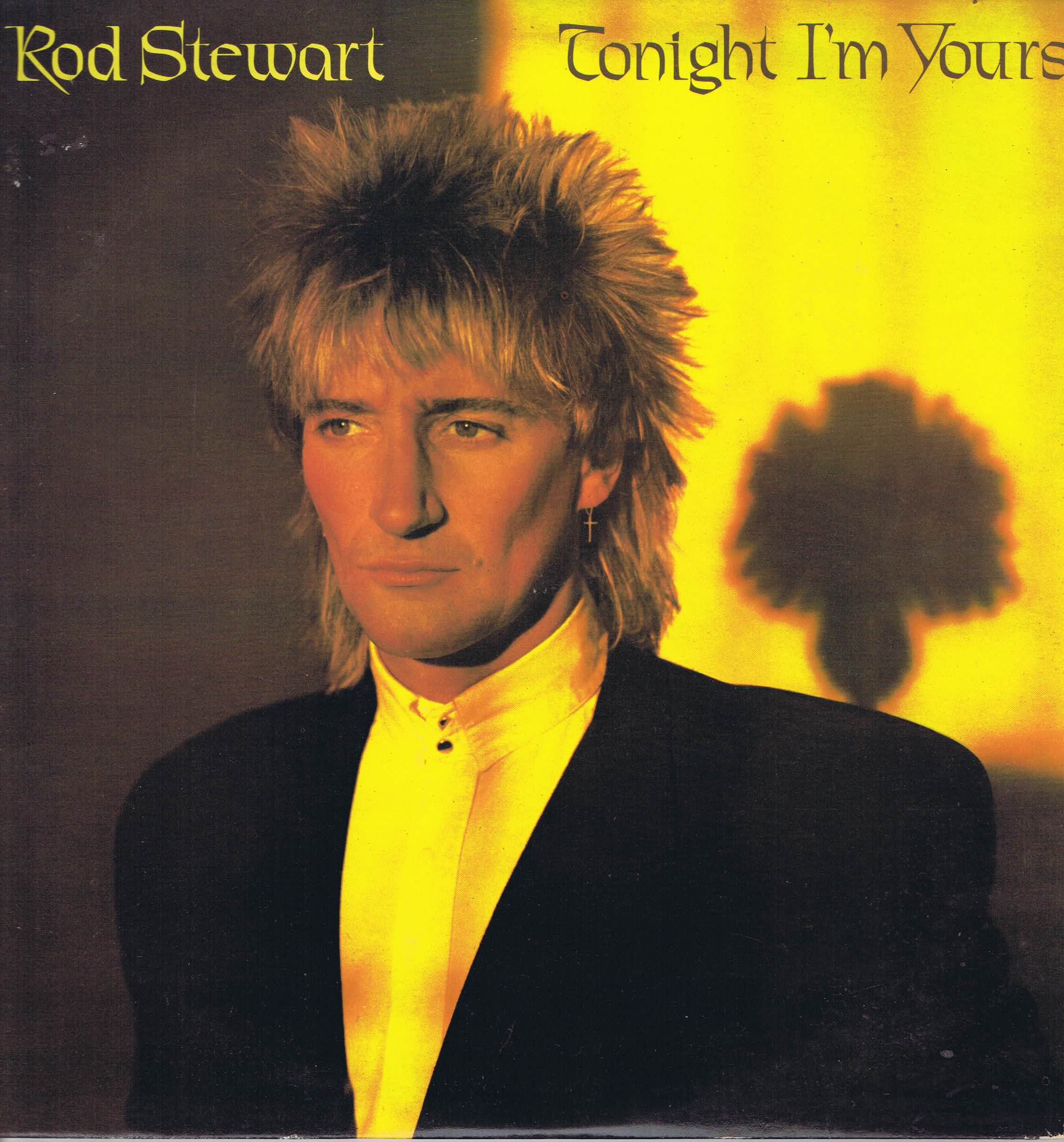 Rod Stewart – Tonight I'm Yours - RVLP 14 - LP Vinyl Record