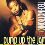 Technotronic Feat. Felly - Pump Up The Jam - 12-inch Record