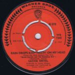 Sacha Distel – Rain Drops Keep Fallin' On My Head - WB 7345 - 7-inch Record