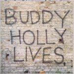 Buddy Holly & The Crickets - 20 Golden Greats - EMTV8 - LP Vinyl Record