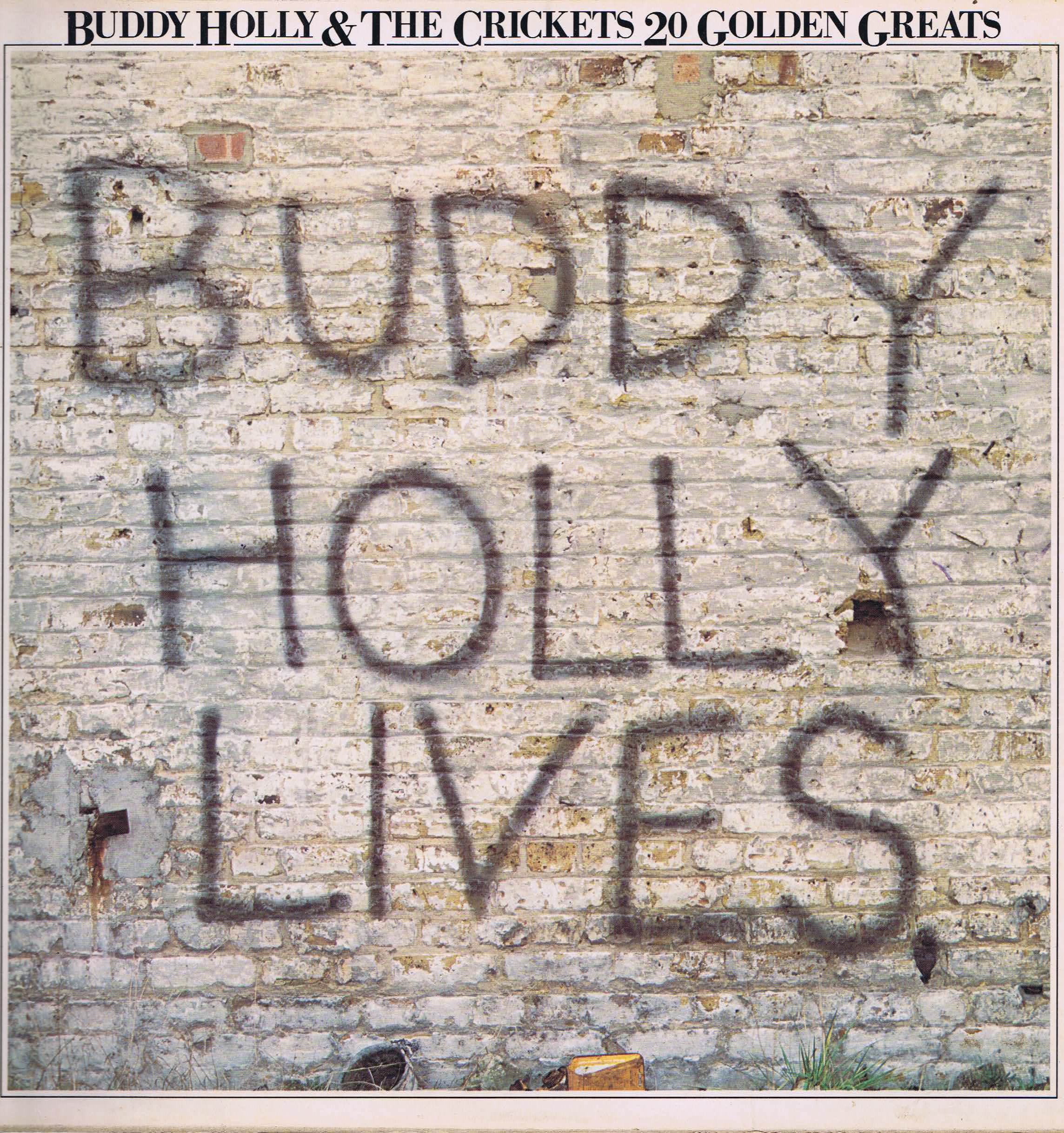 Buddy Holly & The Crickets - 20 Golden Greats - EMTV8 - LP Vinyl Record