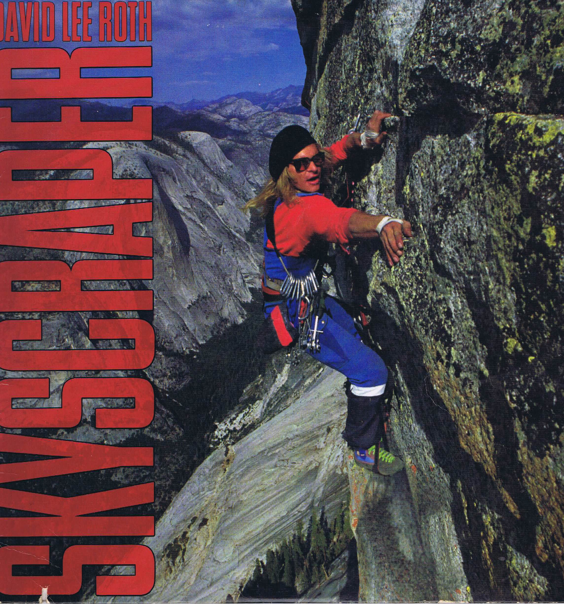 David Lee Roth – Skyscraper - 1-25671 - LP Vinyl Record