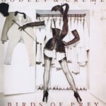 Godley & Creme - Birds of Prey - POLD 5070 - LP Vinyl Record