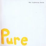 The Lightning Seeds - Pure - GTGT 4 – 12-inch Vinyl Record