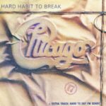 Chicago - Hard Habit To Break - W9214T - 12-inch Record
