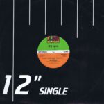 Nu Shooz - I Can't Wait - Atlantic A9446(T) - 12-inch Record
