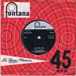 The Allisons – Are You Sure - Fontana H.294 - 7-inch Vinyl Record