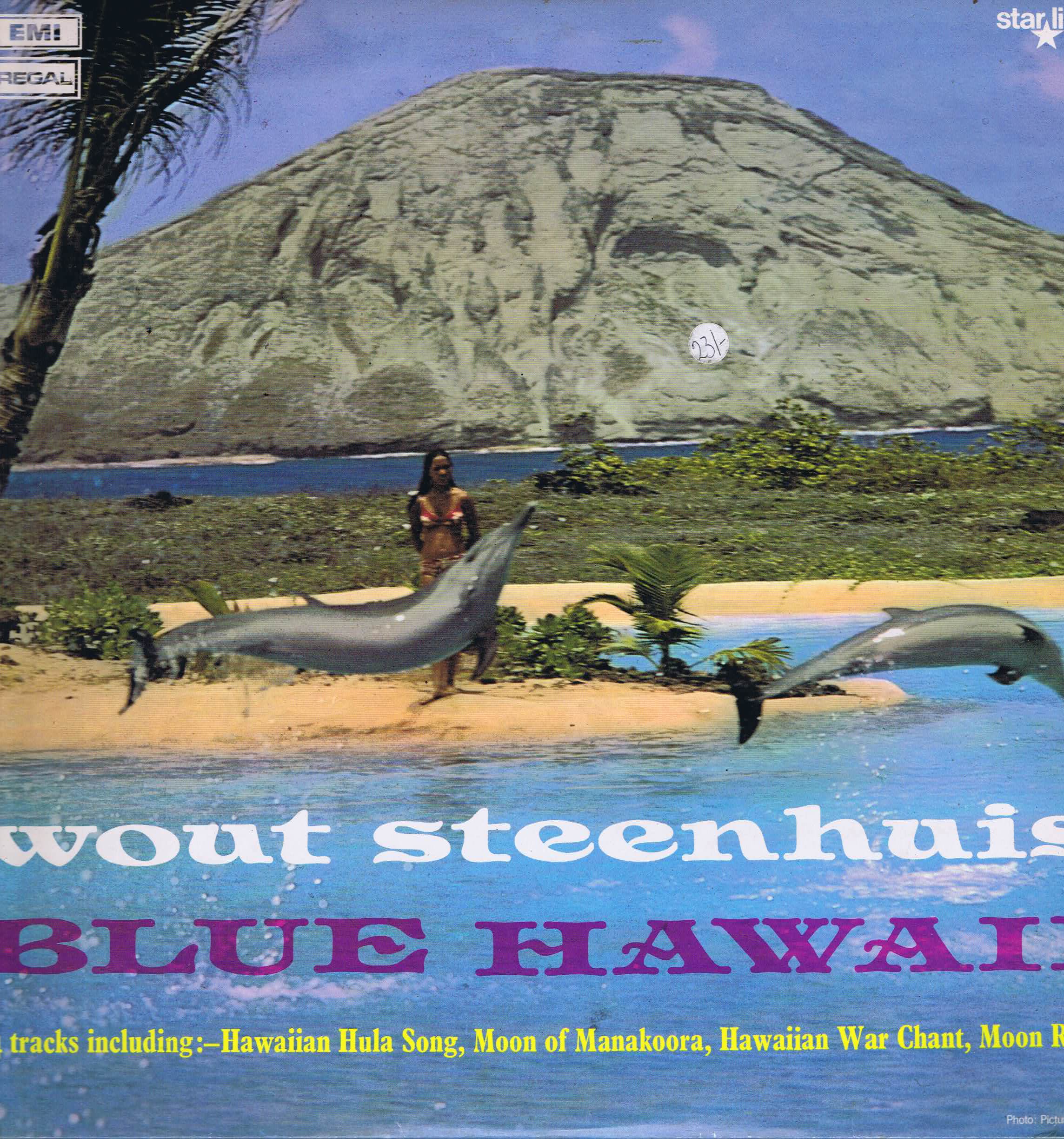 Wout Steenhuis - Blue Hawaii - SRS 5005 - LP Vinyl Record