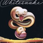 Whitesnake – Trouble – FA 3002 - LP Vinyl Record
