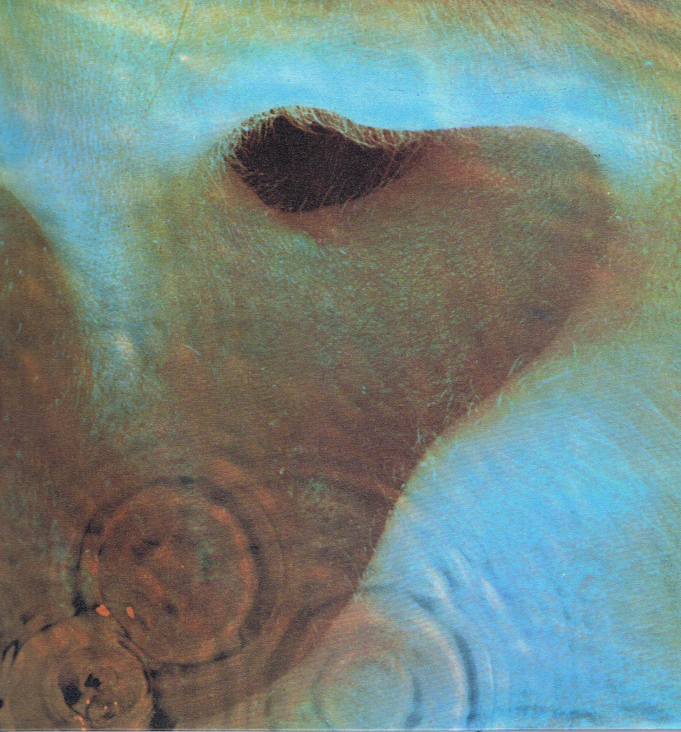 Pink Floyd - Meddle - SHVL 795 - Black Label - LP Vinyl Record