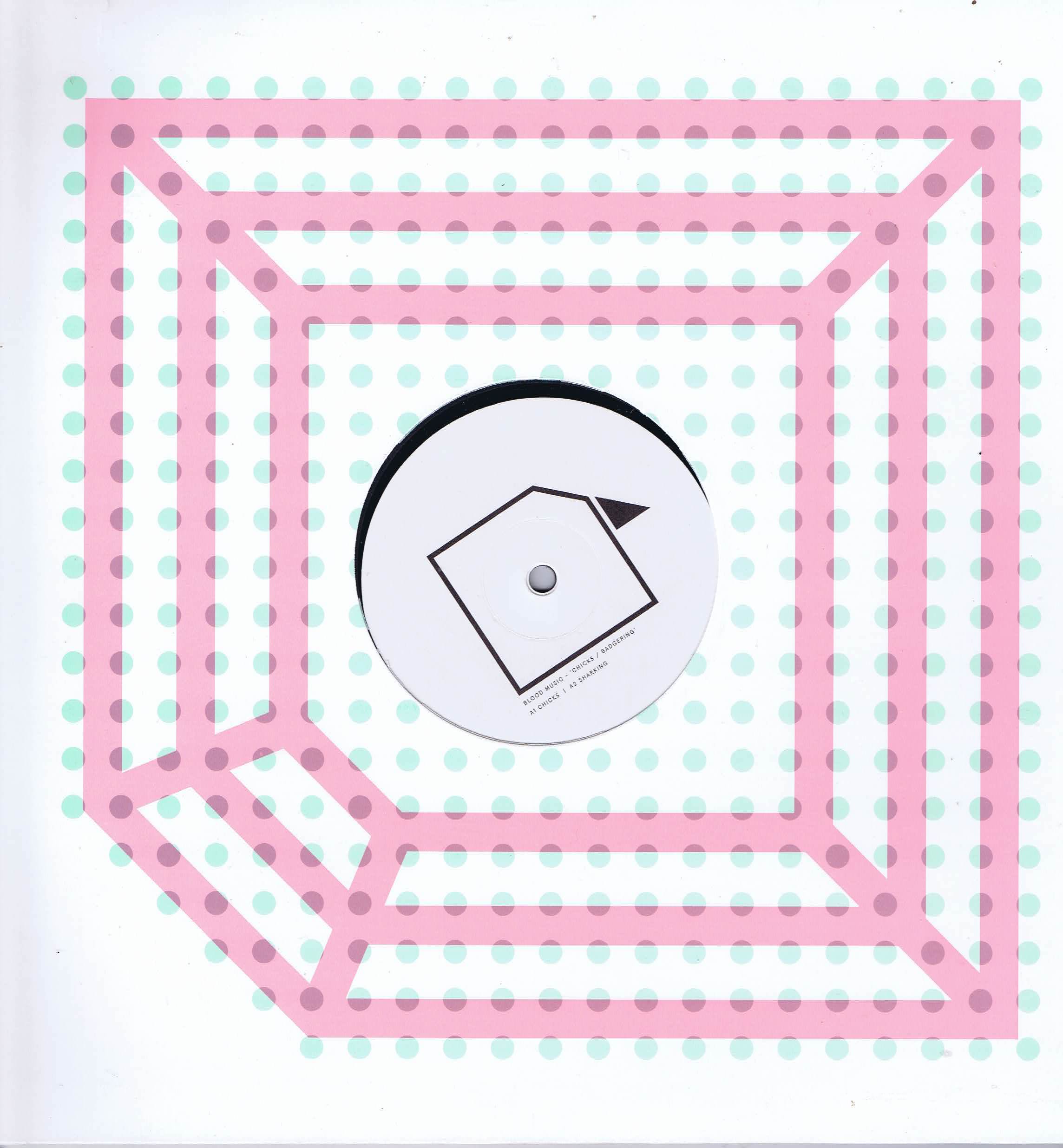 Blood Music – Chicks / Badgering - DIAG022 - 12-inch EP Record