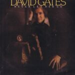David Gates - Never Let Her Go - K52012 - LP Vinyl Record