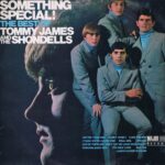 Tommy James And The Shondells - Something Special! The Best Of - LP