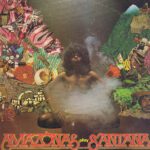 Amazonas - Amazonas Play Santana - MER 377 LP Record
