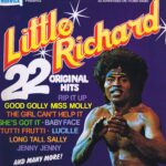 Little Richard - 22 Original Hits - WW5034 – LP Vinyl Record