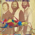 The Crickets – Rockin' 50's Rock & Roll – A1/B1 - CBS 64301 - LP Vinyl Record