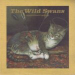 The Wild Swans - English Electric Lightning - DIONE7D9001 – 10-inch Vinyl Record