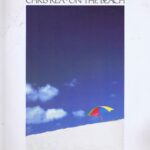 Chris Rea – On The Beach - MAGL 5069 – LP Vinyl Record