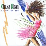 Chaka Khan - I Feel For You - W 9209 – 7-Inch Record #chakakhan