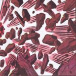 Various – Firecracker EP 4 - FIREC 004 - 10-inch Vinyl Record