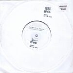 Ecstasy Of St. Theresa – Fluidtrance Centauri - 10-inch Promo Vinyl Record