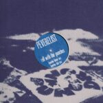 Peverelist – Roll With The Punches - DRUNK 034 - 12-inch Vinyl Record