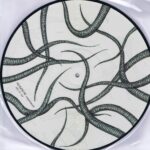 Merzbow – Nezumimochi - CSR200P - LP Picture Disc Record