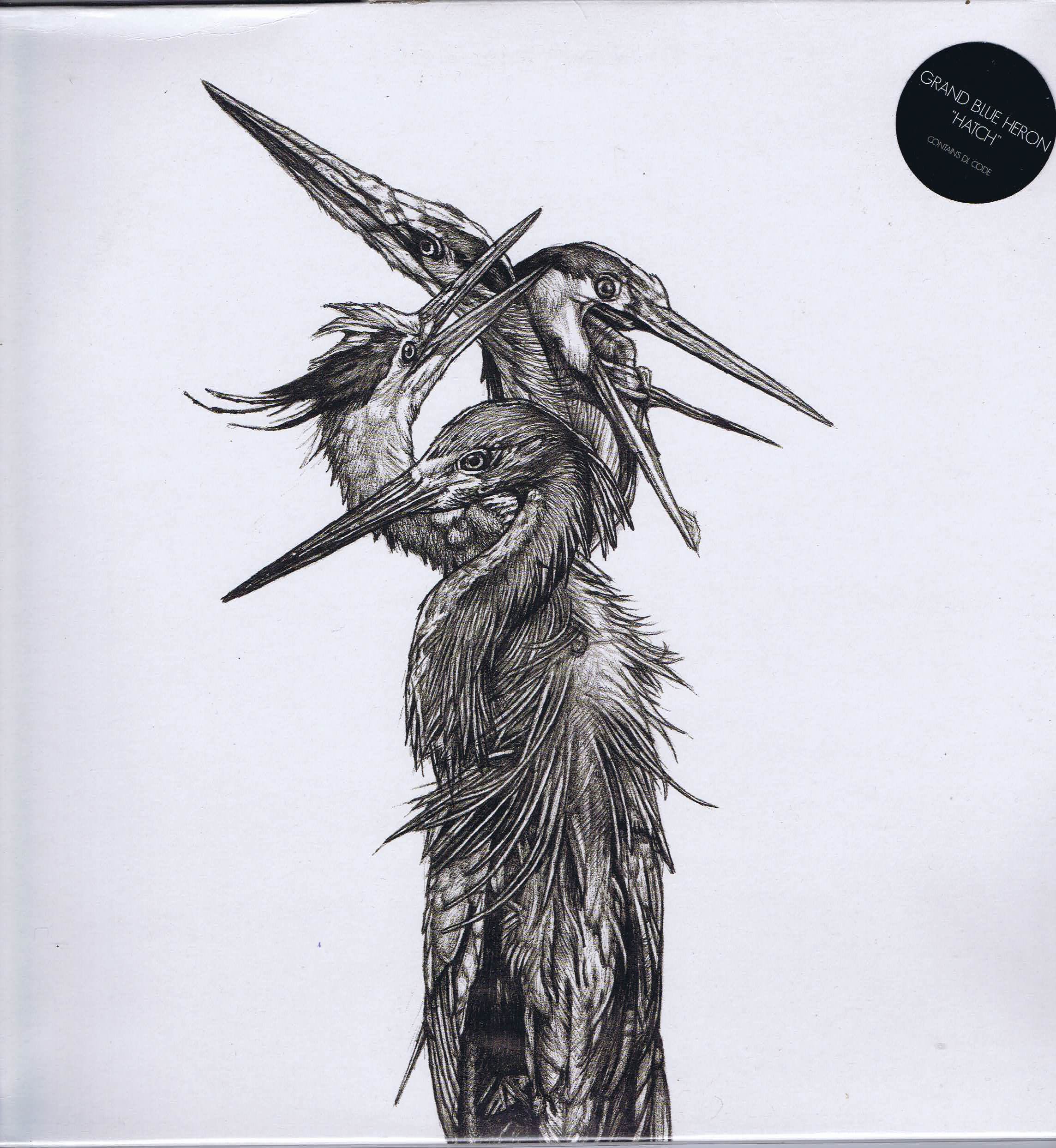 Grand Blue Heron – Hatch - JF046 - LP Vinyl Record