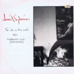 David Sylvian – The Ink In The Well - VS 700-12 - 12-inch Vinyl Record