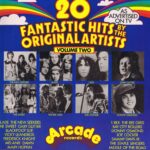 20 Fantastic Hits By The Original Artists Volume Two - 2891 002 - LP Vinyl Record
