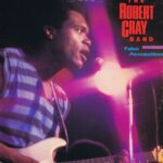 The Robert Cray Band - False Accusations - FIEND 43 - LP Vinyl Record