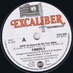 Firefly - Love (Is Gonna Be On Your Side) - EXC 506 - 7-inch Vinyl Record