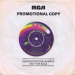 Carrie Lucas ‎– It's Not What You Got (It's How You Use It) ‎ - 7-inch Promo
