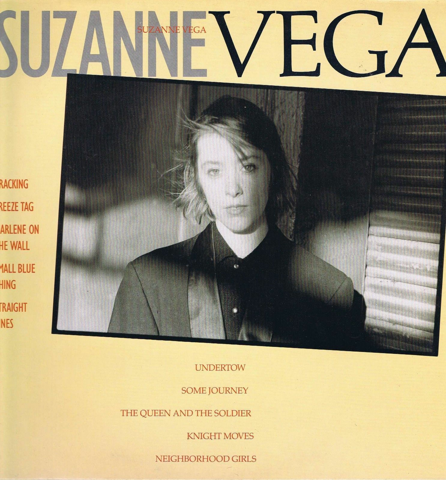Suzanne Vega – Suzanne Vega – AMA 5072 - LP Vinyl Record