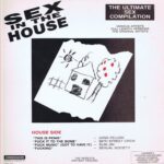 Various Artists – Sex In The House / Sex In The Hood – LP Vinyl Record