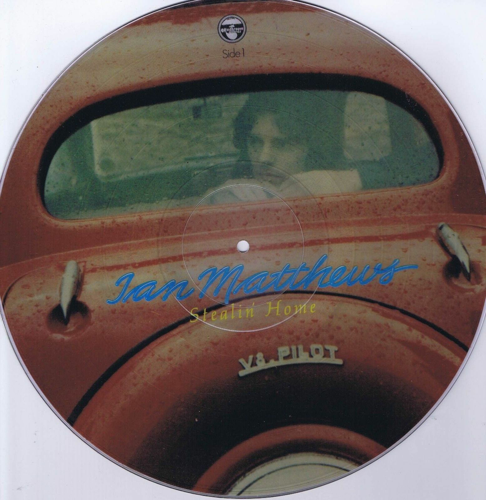 Ian Matthews – Stealin’ Home – Picture Disc LP Vinyl Record
